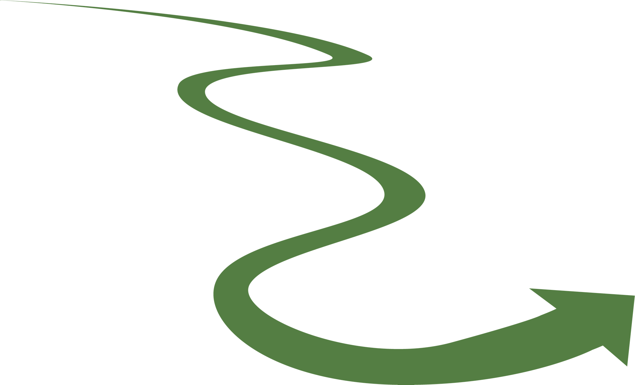 Grüner, geschwungener Pfeil auf weißem Hintergrund.