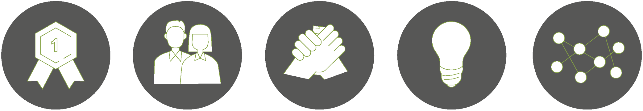 Fünf graue Kreise mit Symbolen: eine Schleife, zwei Personen, ein Stapel Papier, eine Glühbirne und Punkte.