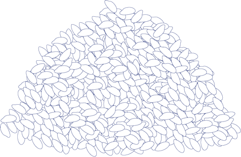 Ein Haufen von vielen kleinen, Reiskörnern auf weißem Hintergrund.